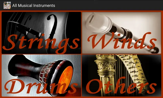 All Musical Instruments android App screenshot 7